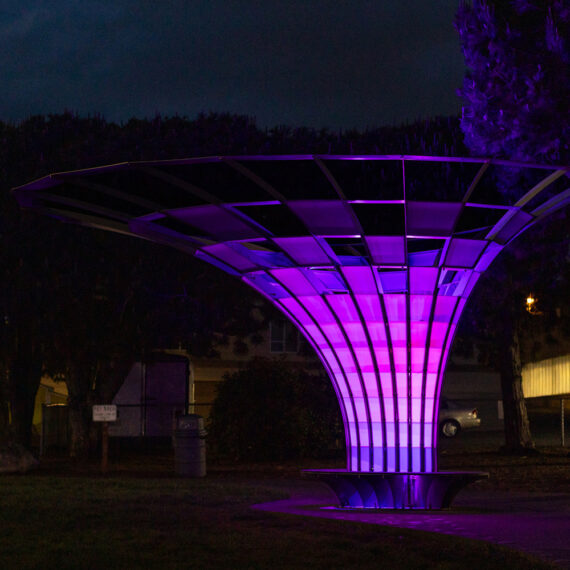 Emergence, a site-specific public art installation in Edmonds, creates a tree-inspired canopy structure that serves as both a landmark and gathering space.